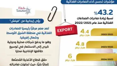 مجلس الوزراء: قطاع الصناعات الغذائية يحقق قفزة نوعية بصادرات 6.3 مليار دولار