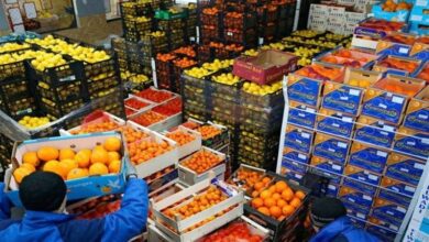 سلامة الغذاء: تصدير 380 ألف طن مواد غذائية في أسبوع