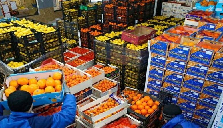 سلامة الغذاء: تصدير 380 ألف طن مواد غذائية في أسبوع