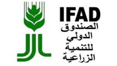 مجلس النواب يقر مساهمة مصر بـ3 ملايين دولار في صندوق الإيفاد لدعم التنمية الزراعية والمرأة الريفية