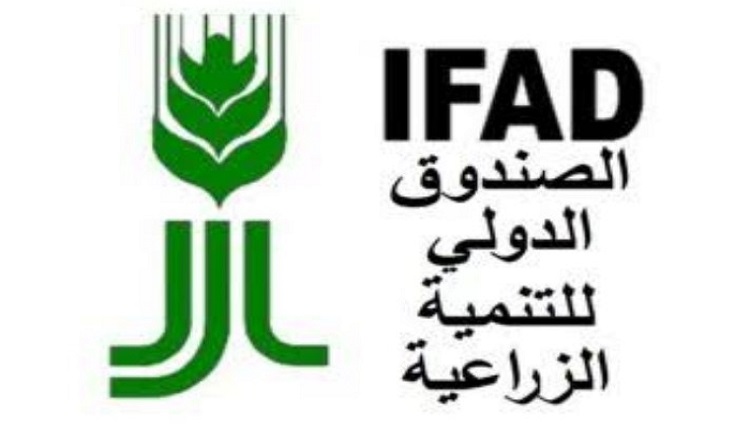 مجلس النواب يقر مساهمة مصر بـ3 ملايين دولار في صندوق الإيفاد لدعم التنمية الزراعية والمرأة الريفية