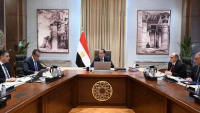 رئيس الوزراء: المخزون الاستراتيجي من الأدوية يكفي الاحتياجات لفترات مطمئنة