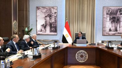 مدبولي يبحث مع اللجنة الاستشارية تداعيات الحرب الإقليمية على الاقتصاد المصري