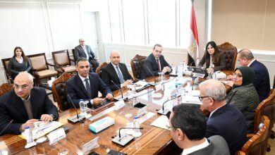 وزيرة الإسكان