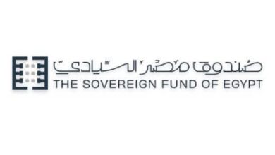 صندوق مصر السيادي يدعو بنوك الاستثمار لترويج وتغطية طرح 20% من مصر لتأمينات الحياة