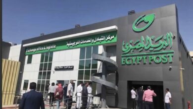 ارتفاع المبالغ المودعة بصندوق توفير البريد المصري الى166.2 مليار جنيه في 2024/2025