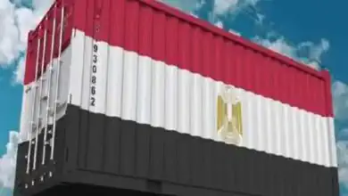 تقرير حكومى: مصر تمتلك فرص تصديرية غير مستغلة بـ32 مليار دولار بحلول 2030.