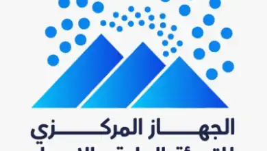 الإحصاء المصري: انخفاض الرقم القياسي للصناعات التحويلية 2% في يناير 2026