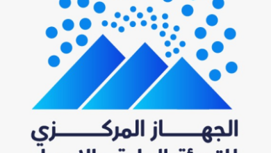 المركزي للتعبئة العامة والإحصاء: ارتفاع الودائع المصرفية في مصر إلى 14.89 تريليون جنيه بنمو 24.1% عام 2024/2025