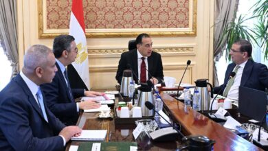 الحكومة: مخزون السلع يكفي 6 أشهر واستهداف 5 ملايين طن قمح