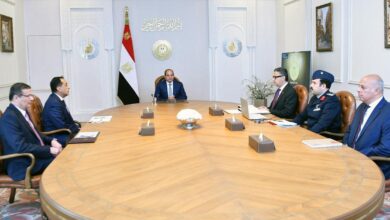 الرئيس السيسي يتابع منظومة الأمن الغذائي.. أرصدة القمح والسكر عند مستويات مطمئنة