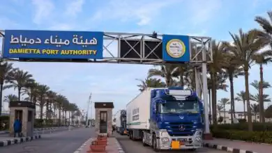 ميناء دمياط يستقبل 16 تريلا بـ295 طن بضائع أوروبية لإعادة تصديرها إلى الخليج