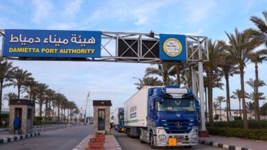 ميناء دمياط يستقبل 16 تريلا بـ295 طن بضائع أوروبية لإعادة تصديرها إلى الخليج