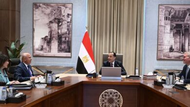 مدبولي: تأجيل تنفيذ 20 طريقًا لترشيد استهلاك الطاقة