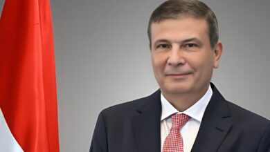 المشروع القومي للبتلو يوافق على تمويل 154 مليون جنيه لتربية 2200 رأس ماشية