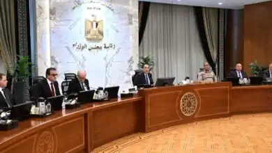 قرارات مجلس الوزراء اليوم: عفو رئاسي وتطوير الإسعاف والتحول الرقمي