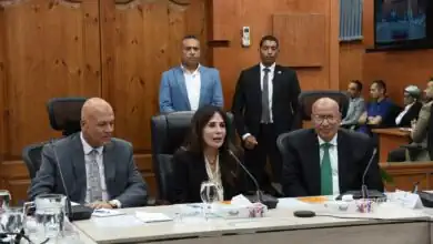 وزيرة الإسكان تشدد على تسريع مشروعات «حياة كريمة» ورفع كفاءة المياه