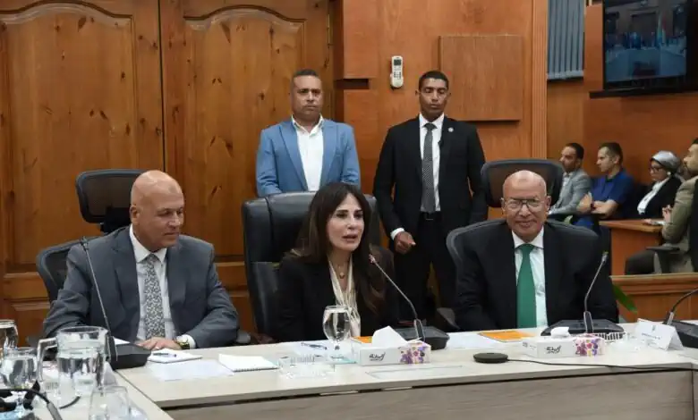 وزيرة الإسكان تشدد على تسريع مشروعات «حياة كريمة» ورفع كفاءة المياه