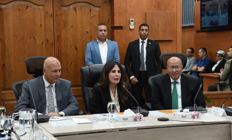وزيرة الإسكان تشدد على تسريع مشروعات «حياة كريمة» ورفع كفاءة المياه
