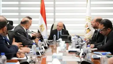 مصر تبحث جذب استثمارات صينية في التكنولوجيا والتصنيع الذكي