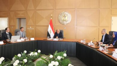 وزير الكهرباء: يوم العمل عن بعد وفر 4700 ميجاوات ساعة.. الخطة تحقق نتائج ملموسة