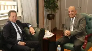 مصر وفرنسا تبحثان تعزيز التعاون في الكهرباء والطاقة المتجددة