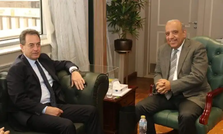 مصر وفرنسا تبحثان تعزيز التعاون في الكهرباء والطاقة المتجددة