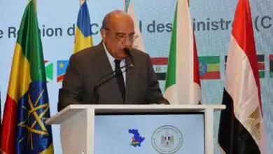 مصر تقود التكامل الكهربائي في أفريقيا وتعزز الاستثمار في الطاقة المتجددة