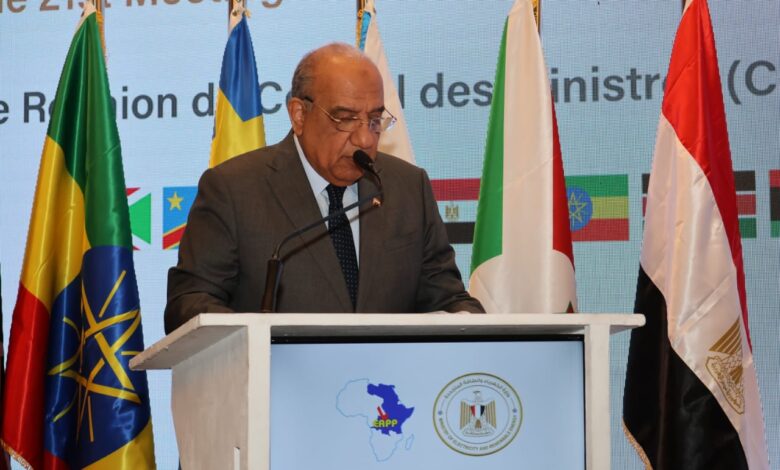 مصر تقود التكامل الكهربائي في أفريقيا وتعزز الاستثمار في الطاقة المتجددة