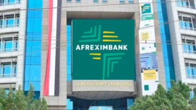 10 مليارات دولار من «أفريكسيم بنك» لحماية الاقتصادات من اضطرابات الشرق الأوسط