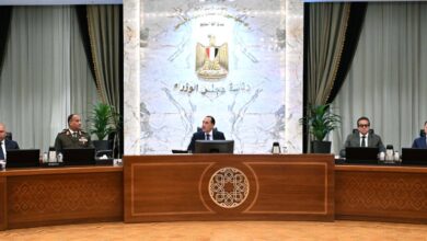 مدبولي: الاقتصاد المصري أكثر قدرة على مواجهة الصدمات العالمية