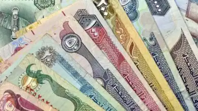الدرهم الإماراتي يستقر عند 14.17 جنيه للبيع في مصر اليوم
