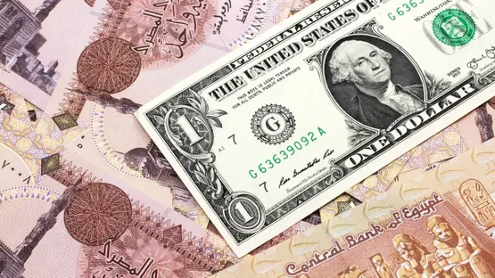 ارتفاع سعر الدولار في مصر اليوم بالبنوك 21 أبريل 2026