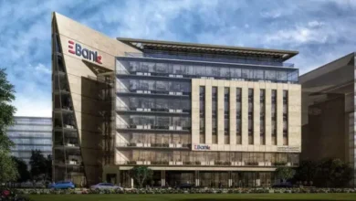 البنك المصري لتنمية الصادرات يسجل نموًا قياسيًا في معاملاته الرقمية خلال 2025