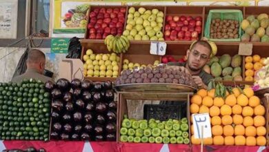 التضخم في مصر يرتفع إلى 13.5% خلال مارس بدعم الغذاء والطاقة