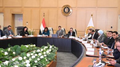 وزير الصناعة يعلن خطة تنفيذ مشروع القرى المنتجة ضمن مبادرة حياة كريمة