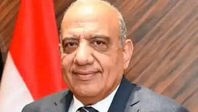 استثمارات 46 مليار جنيه لتطوير شبكة الكهرباء في سيناء ودعم التنمية