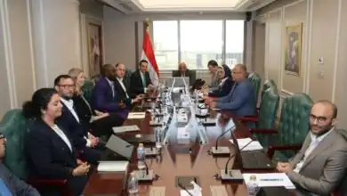 وزير الكهرباء