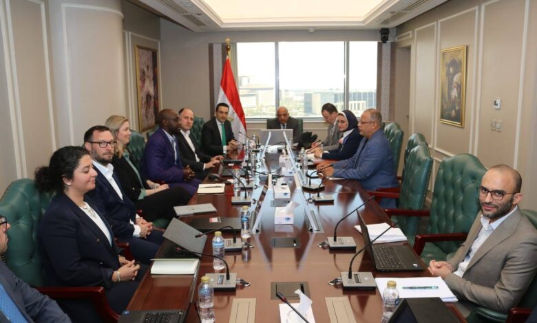 وزير الكهرباء
