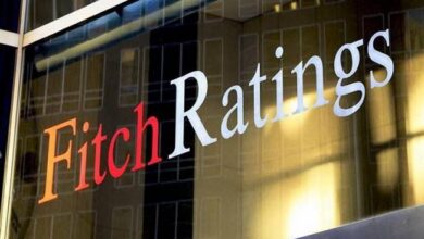 فيتش: مصر ثالث أكبر سوق جذبًا للاستثمار بالمنطقة وتستهدف 60 مليار دولار