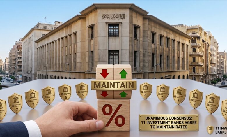 11 خبيرًا يتوقعون تثبيت الفائدة باجتماع المركزي المصري