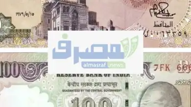 مصر والهند تقتربان من تفعيل التبادل التجاري بالجنيه المصري والروبية