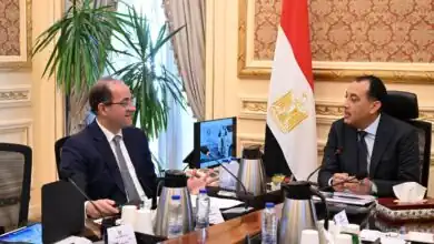 مدبولي يوجه ببدء التعاقد على أول دفعة سيارات كهربائية حكومية