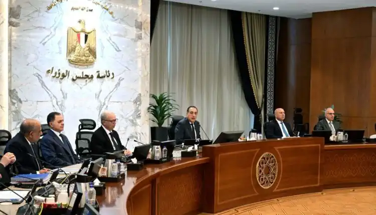 الحكومة تقر استمرار العمل عن بُعد يوم الأحد خلال يونيو 2026