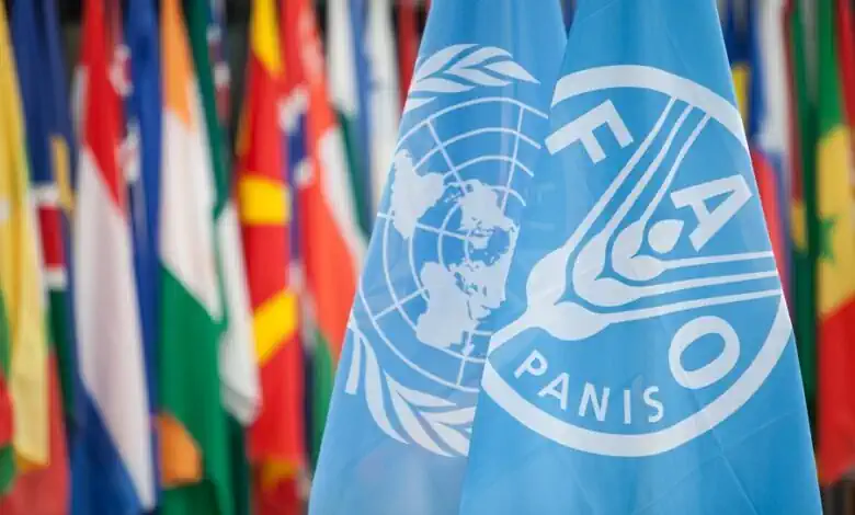 الأمم المتحدة: أزمة مضيق هرمز تهدد الأمن الغذائي العالمي برفع تكلفة الأسمدة 20%
