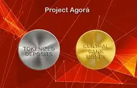 البنوك المركزية العالمية تختبر نظام مدفوعات رقمية جديد يعمل على مدار الساعة