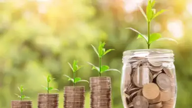 أعلى شهادات ادخار في مصر بعوائد تصل إلى 17.75%
