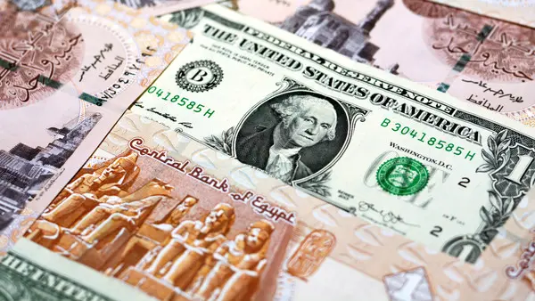سعر الدولار اليوم: 53.67 جنيه للبيع في البنك الأهلي ومصر مع بداية التعاملات.