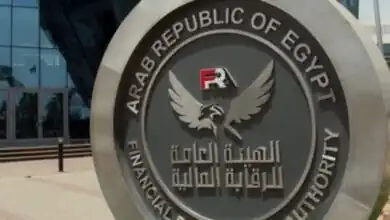 الرقابة المالية: صندوق «امتلاك» يستهدف 22 شركة باستثمارات مليار جنيه بدءًا من 2027