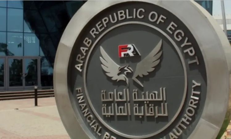 الرقابة المالية: صندوق «امتلاك» يستهدف 22 شركة باستثمارات مليار جنيه بدءًا من 2027